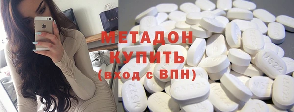 прущие грибы Алзамай