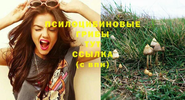 прущие грибы Алзамай