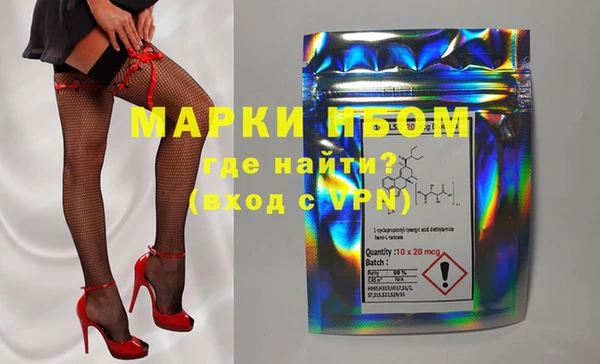 прущие грибы Алзамай