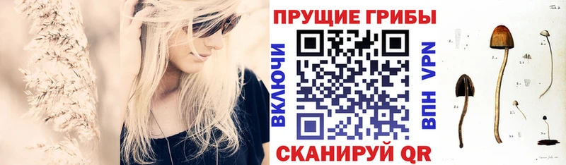 Галлюциногенные грибы Magic Shrooms  мега зеркало  Фролово 